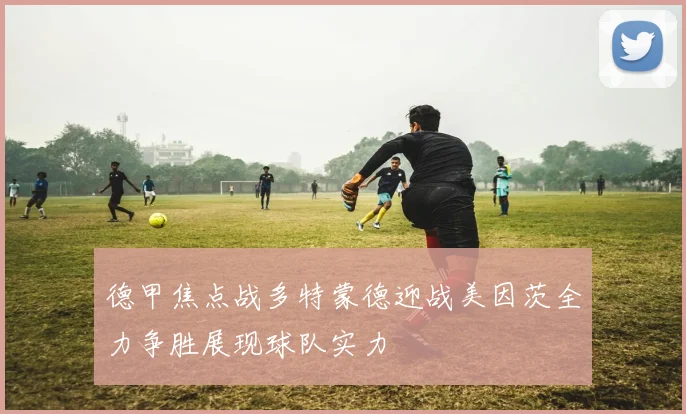 德甲焦点战多特蒙德迎战美因茨全力争胜展现球队实力