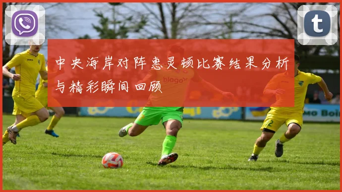 中央海岸对阵惠灵顿比赛结果分析与精彩瞬间回顾