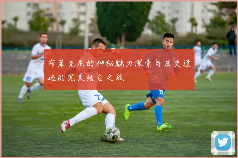 布莱克尼的神秘魅力探索与历史遗迹的完美结合之旅