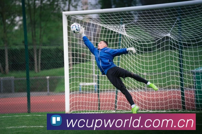 多媒体互动体验